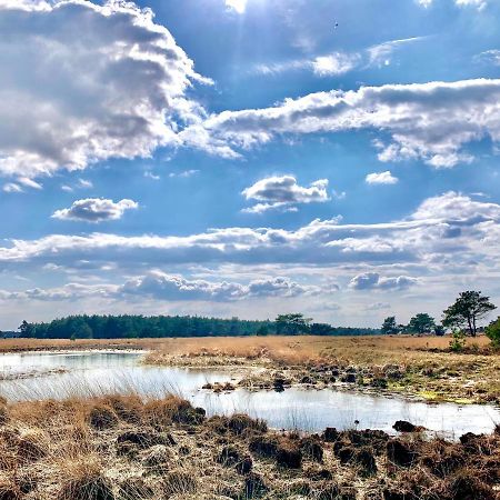 Veluwse Wolf: Natuurlijk Genieten! Otterlo Exterior foto